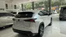 Lexus NX 300 2019 - Chính chủ bán Lexus NX300 mode 2019, sơn zin cả xe, full lịch sử hãng