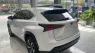 Lexus NX 300 2019 - Chính chủ bán Lexus NX300 mode 2019, sơn zin cả xe, full lịch sử hãng